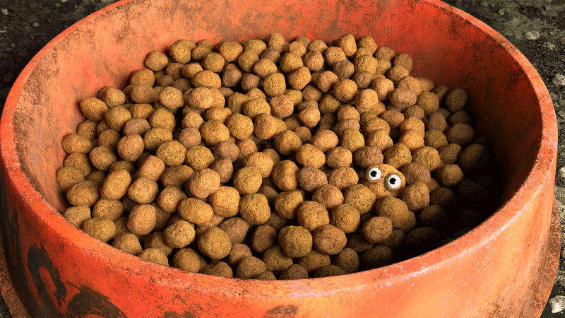 Kibble — Shot 2 Still